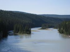 Athabasca river island