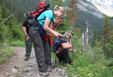 wandern mit Timberwolf Tours