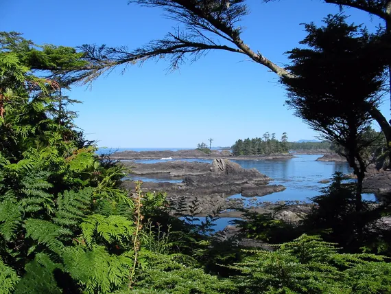 Pacific Rim, Vancouver Island