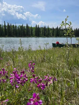 canoe trip on the Athabasca River