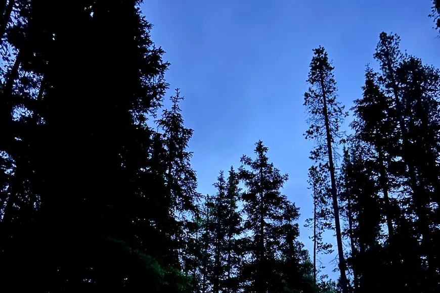 Tent glowing in the dark