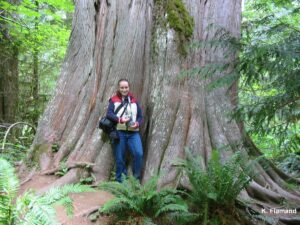 adventure tour on vancouver island, canada, hiking, hotel