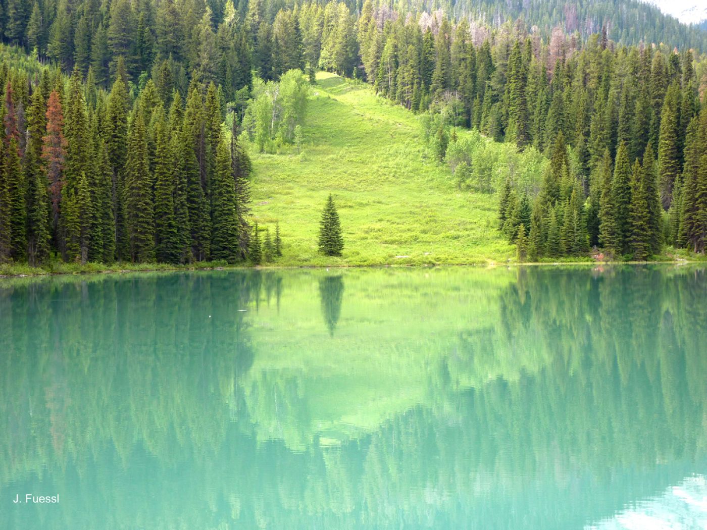 emerald lake in yoho park, canadian rockies