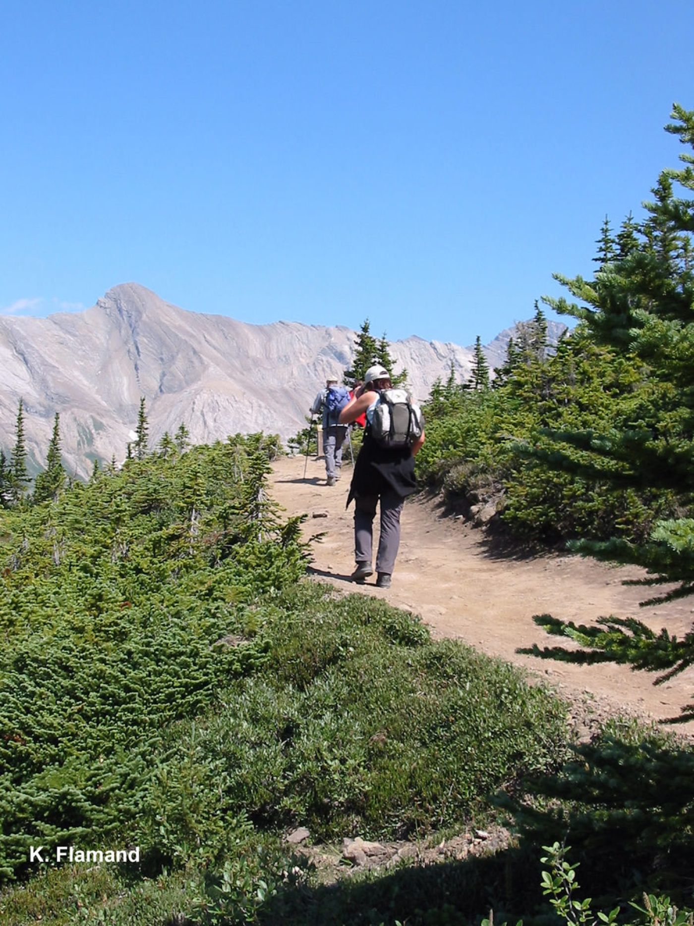 guided day hikes in jasper, banff, canadian rockies | geführte tageswanderungen in jasper, banff, kanadische rockies