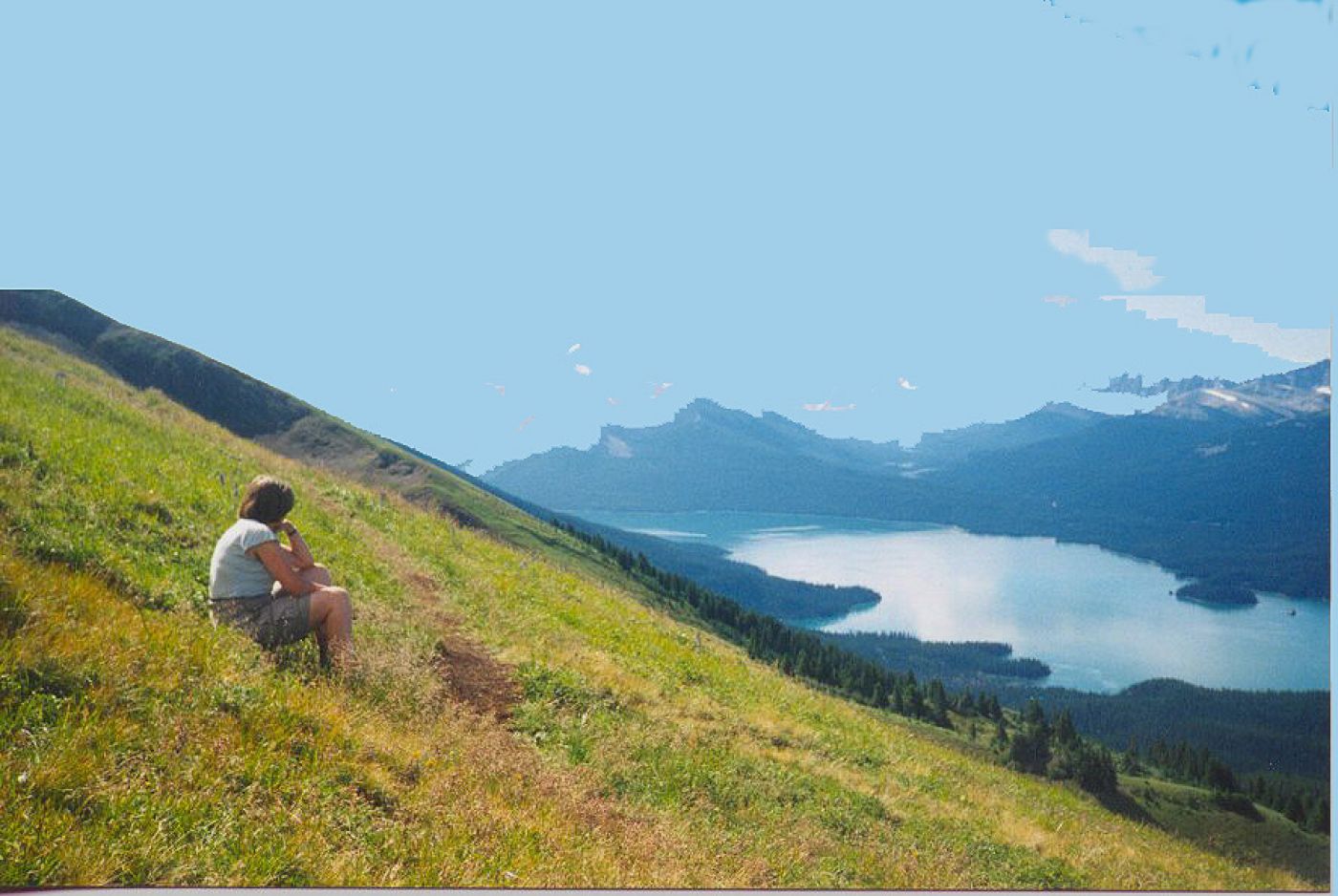 opal hills, best guided hike in Jasper rockies | opal hills, die beste wanderung in Jasper, kanada