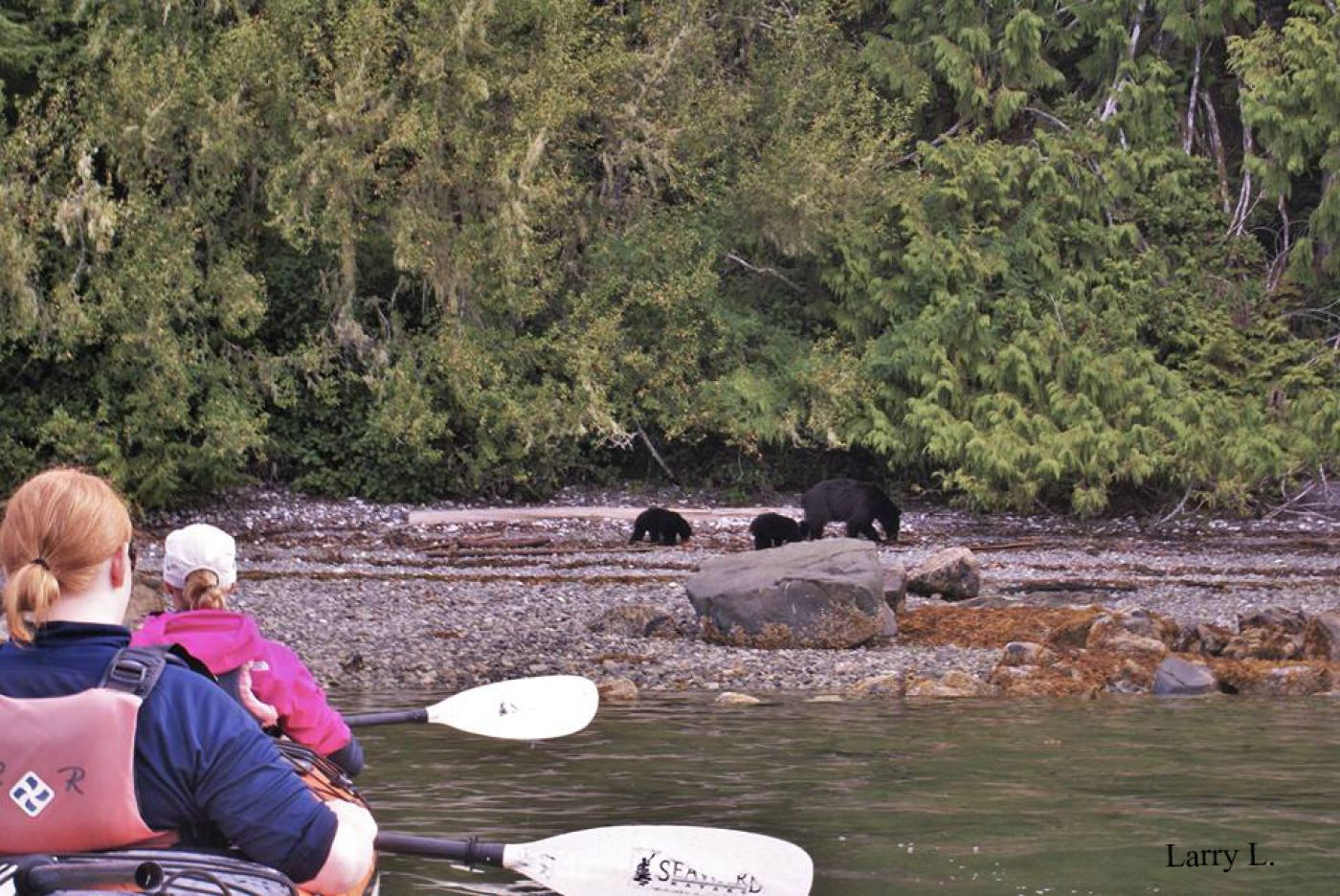 hiking tour and bear watching with kayaks on vancouver island | wanderreise und bärenbeobachtung mit kajaks auf vancouver island