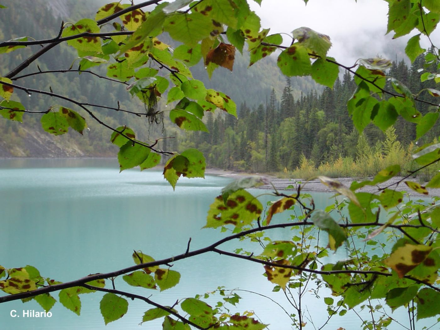 lake in jasper national park | see im jasper ntionalopark