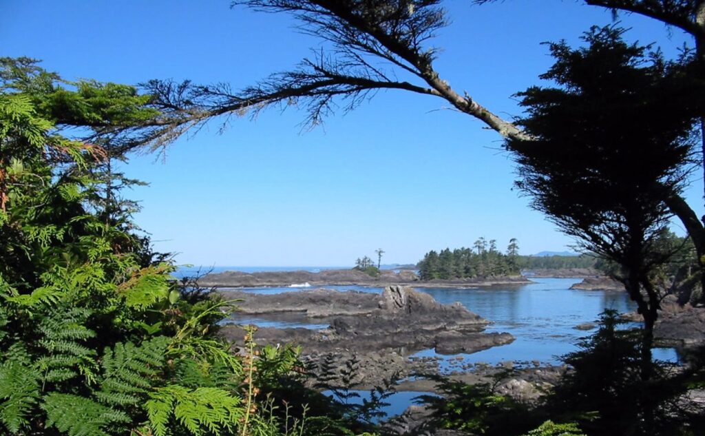 adventure with pacific rim national park vancouver island | abenteuertour auf vancouver island mit pazifik rim park