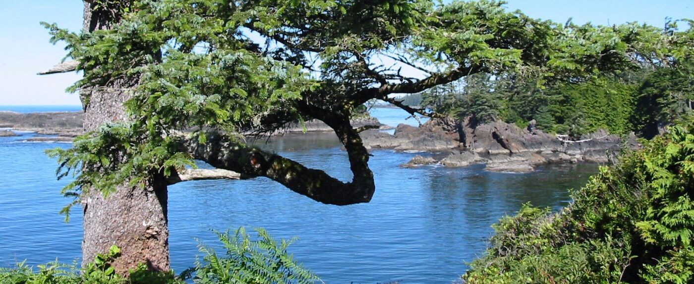 Westkanada. vancouver island, british columbia, touren