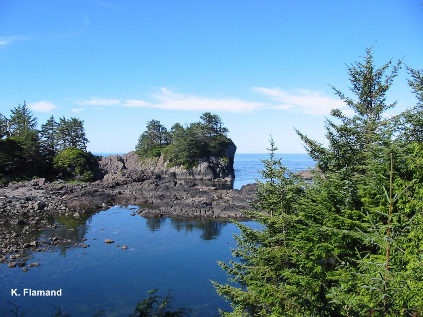 hiking wild pacific trail near tofino, vancouver island | wandern am wild pacific trail bei tofino, vancouver island