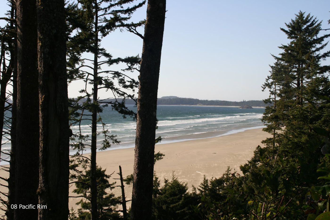 Hiking and camping on beach in pacific rim national park | wandern und camping am strand im pazifk rim nationalpark