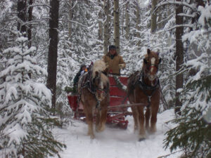 sleigh ride in Banff