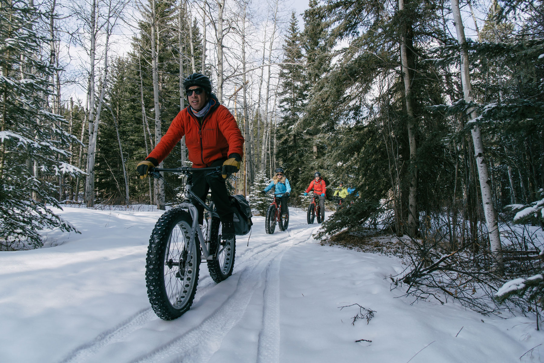 fatbikes on a wintery forest trail in banff | fabikes auf einem pfad in winterwald bei banff